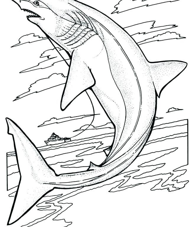 Free Printable Great White Shark Coloring Pages Kids Coloring Free 650x768 Free Printable Great White Shark Coloring Pages Kids Coloring Free