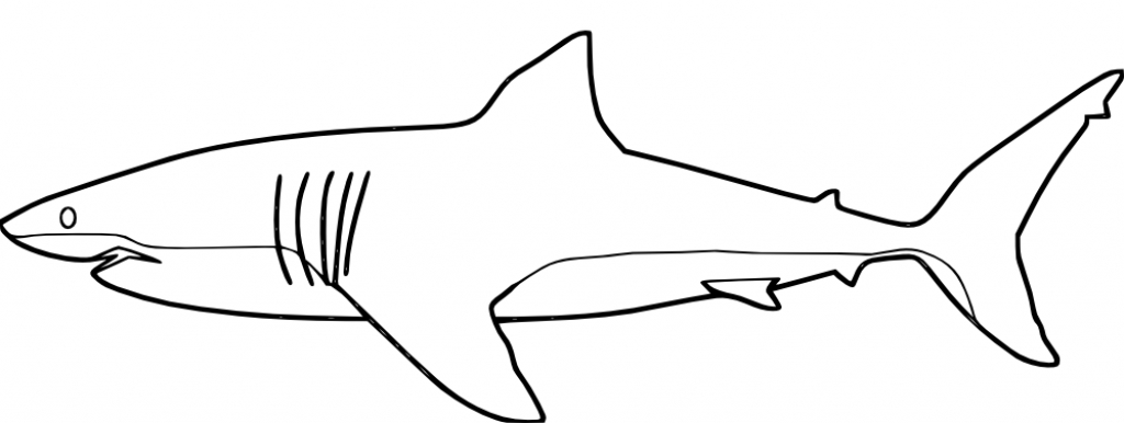 Free Printable Shark Pictures Killer Coloring Page For Kids 1024x386 Free Printable Shark Pictures Killer Coloring Page For Kids