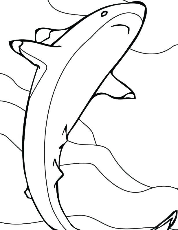 Hammerhead Shark Pictures To Color Coloring Shark Pin Drawn Tiger 615x796 Hammerhead Shark Pictures To Color Coloring Shark Pin Drawn Tiger