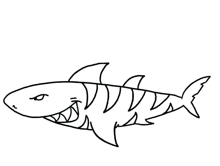 Printable Whale Shark Coloring Pages Page Of A Sharks Free Color 736x557 Printable Whale Shark Coloring Pages Page Of A Sharks Free Color
