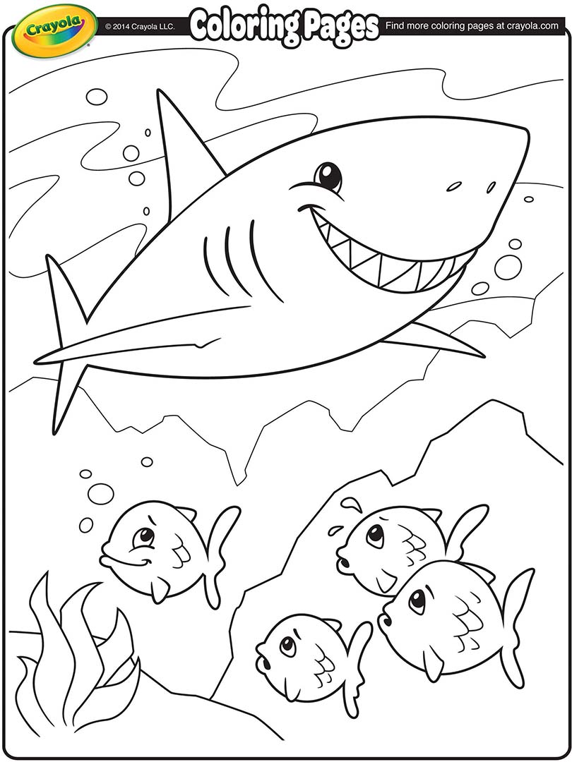 Shark Coloring Page 810x1080 Shark Coloring Page