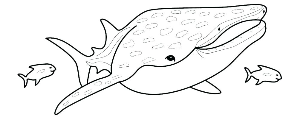 Shark Coloring Page Shark Colouring Pages Free Printable 1024x393 Shark Coloring Page Shark Colouring Pages Free Printable