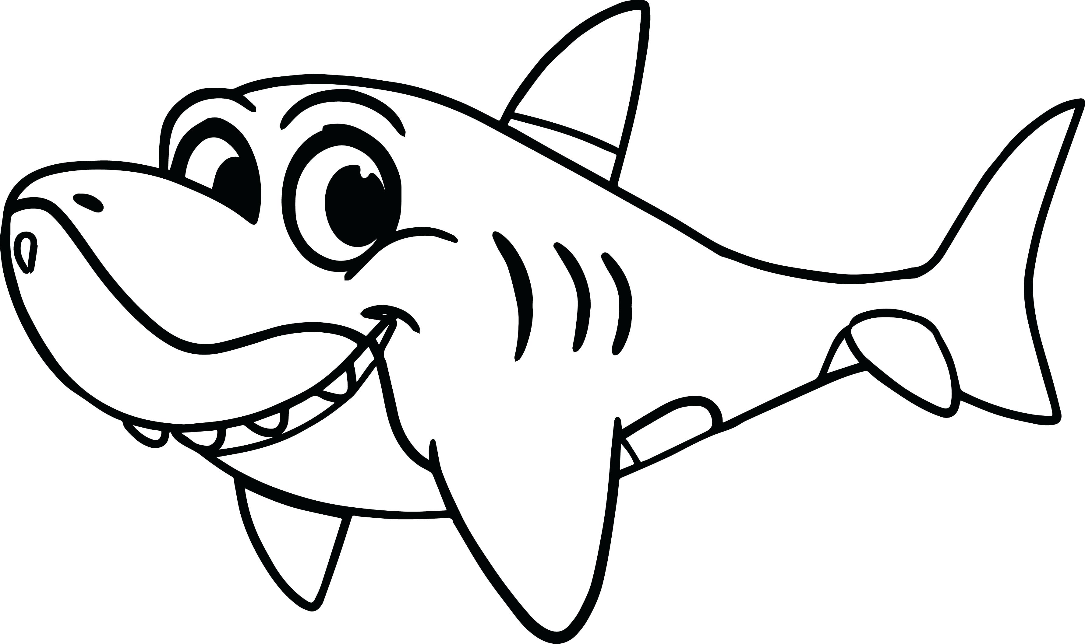 Beautiful Shark Coloring Picture Hammerhead Page 3562x2116 Beautiful Shark Coloring Picture Hammerhead Page