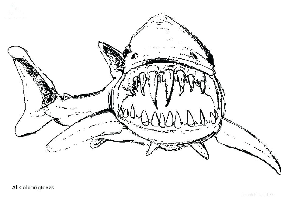 Shark Colouring Pages To Print Shark Pictures To Color And Print 924x668 Shark Colouring Pages To Print Shark Pictures To Color And Print