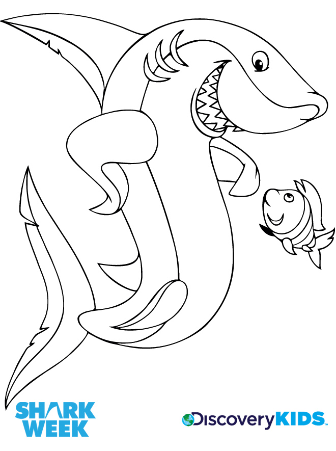 Shark Pictures To Print And Color Shark Friend Coloring Page 660x885 Shark Pictures To Print And Color Shark Friend Coloring Page