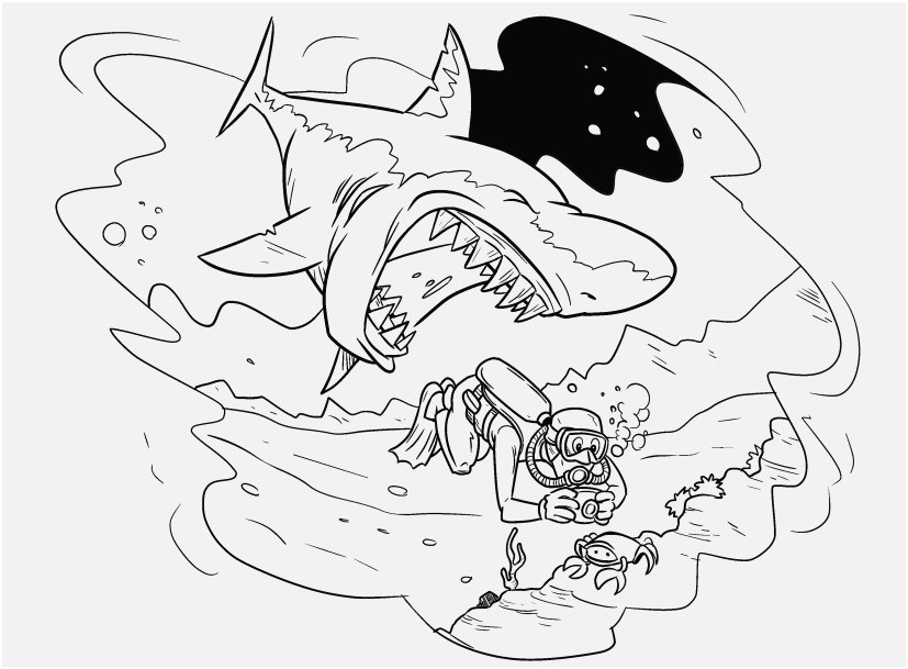 The Right Footage Great White Shark Coloring Pages Ideal 827x609 The Right Footage Great White Shark Coloring Pages Ideal