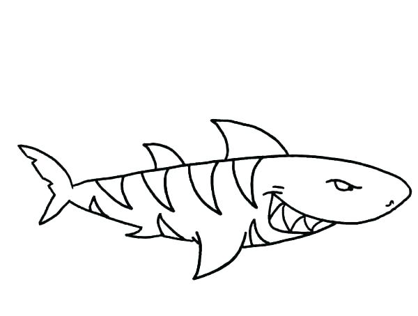 600x454 Free Shark Coloring Pages Coloring Page Of A Shark Coloring Pages