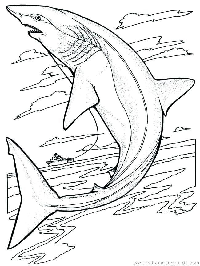 650x864 Shark Coloring Pages Printable Funny Shark Funny Shark Coloring