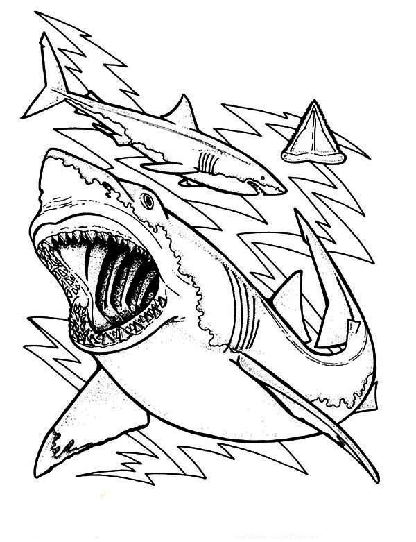 Shark Teeth Coloring Pages Shark Teeth Drawing At Getdrawings Free 600x781 Shark Teeth Coloring Pages Shark Teeth Drawing At Getdrawings Free