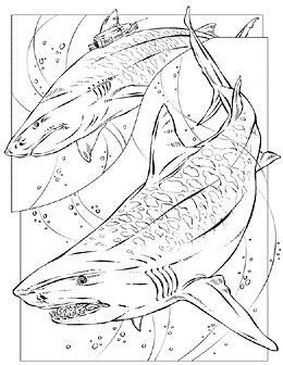 Sharknado Coloring Pages Coloring Pages