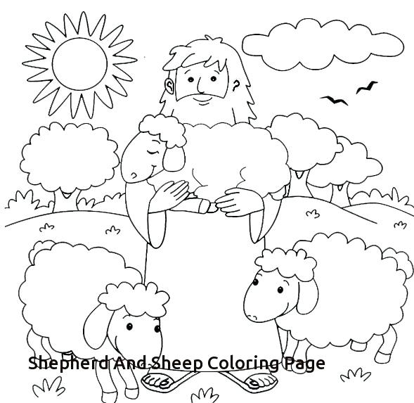 589x573 Sheep Coloring Picture Sheep Coloring Page Cute Sheep Coloring