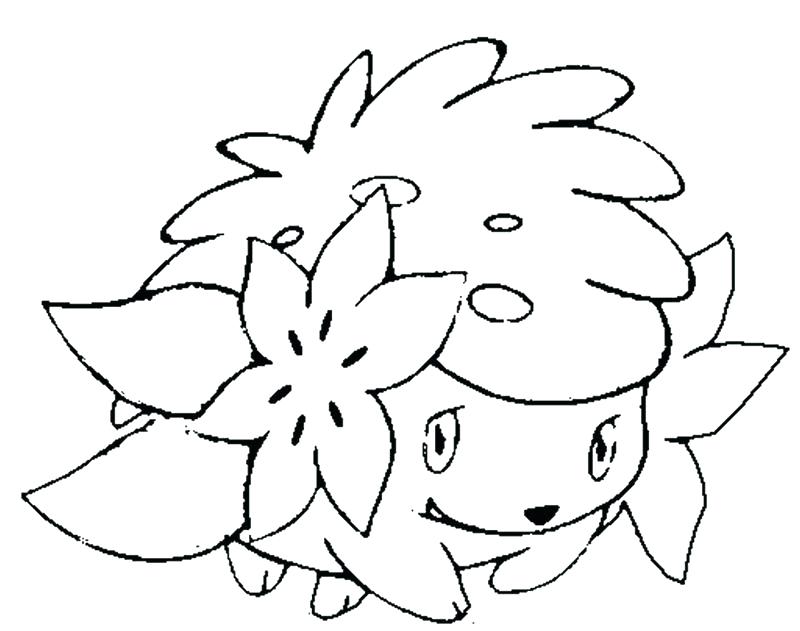 800x631 Shaymin Coloring Pages Coloring Pages Coloring Page Coloring Pages