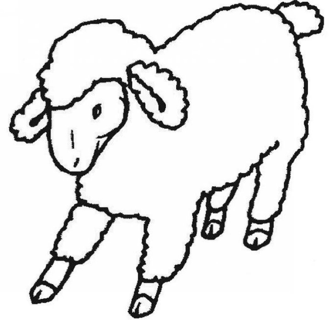 1048x1020 Innovative Coloring Page Of A Sheep Color Anim
