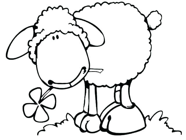 640x483 Sheep Coloring Pages Lamb Coloring Page Sheep Com Inside Decor 7
