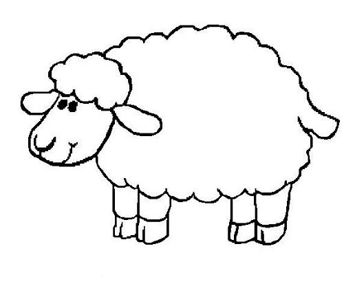 500x416 Sheep Coloring Pages Preschool Nativity Animals