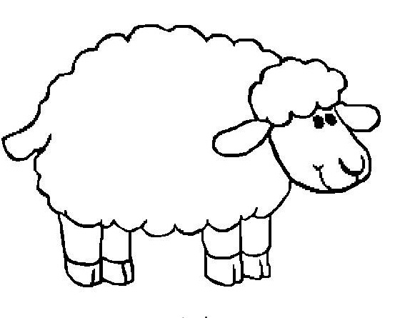 567x445 Coloring Pages Sheep Amazing Sheep Coloring Page 70 For Cute