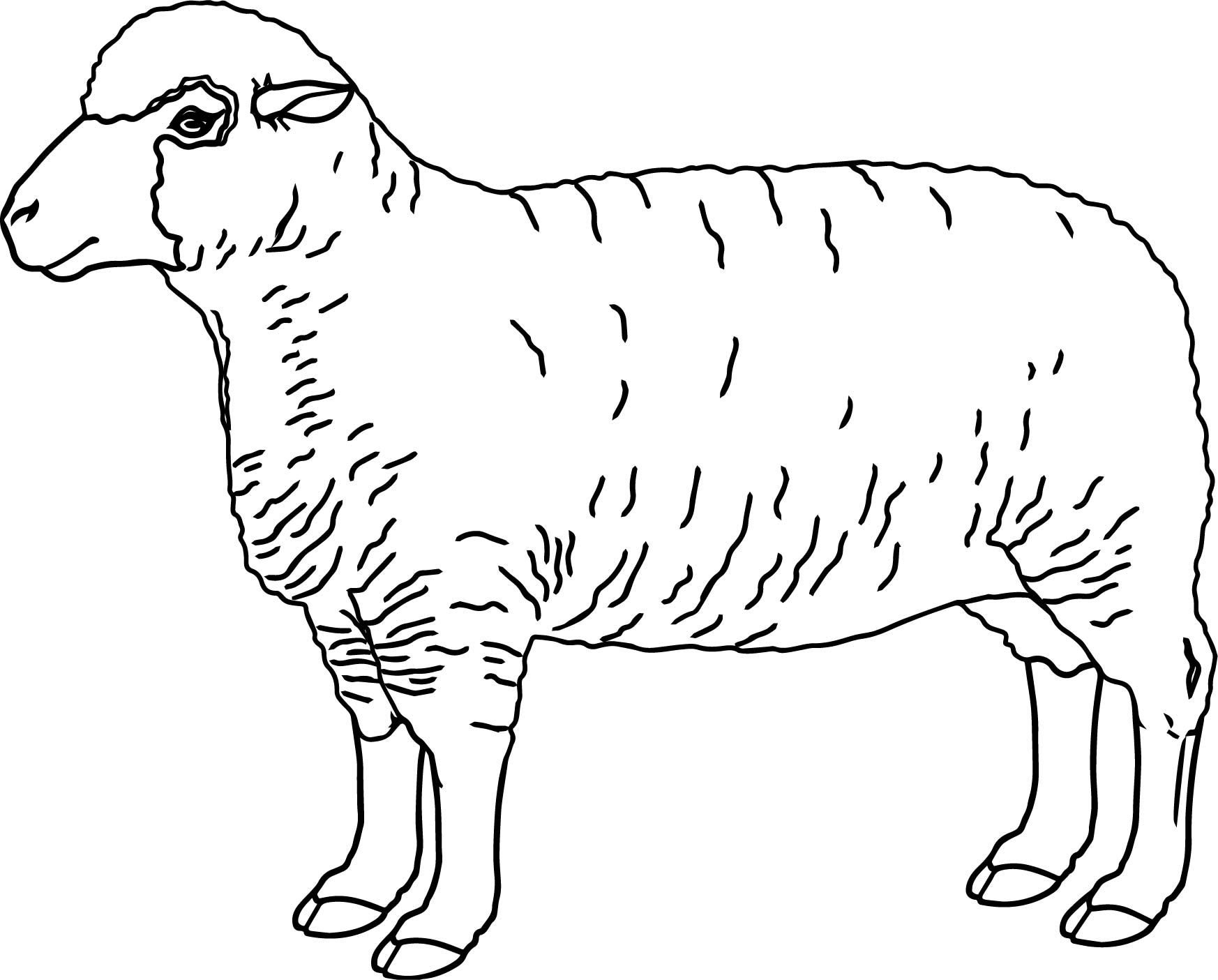 1746x1405 Free Printable Sheep Coloring Pages For Of General Baa Black