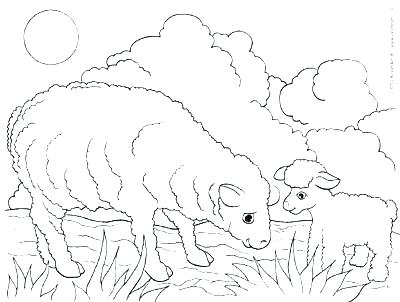 400x302 Sheep Coloring Pages Free Of Printable Face For Kids Printable