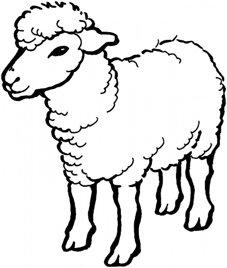 445x525 Sheep Coloring Pages Sheep Coloring Pages Free Printable Kids