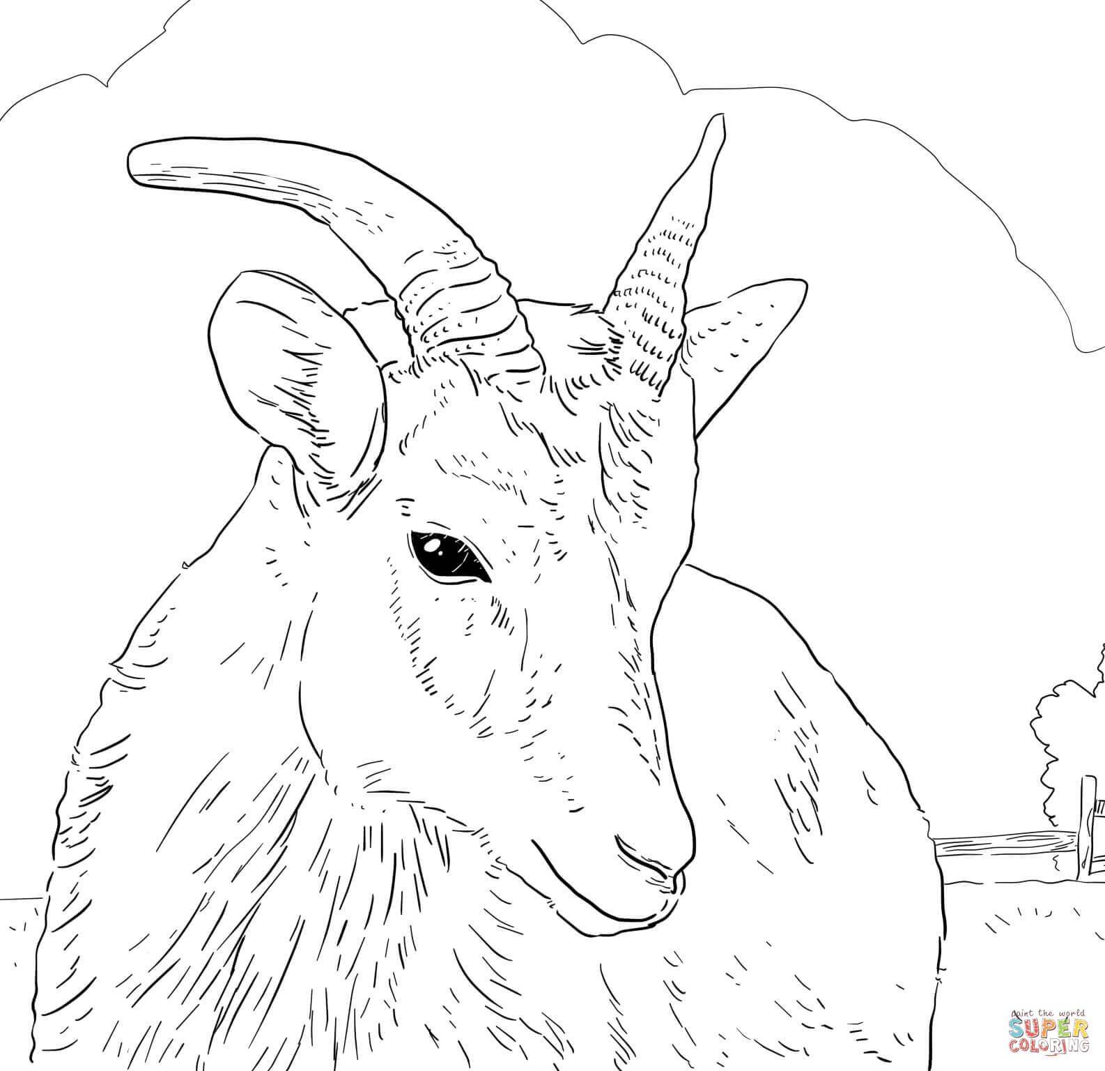 1586x1536 Sheep Coloring Pages Free Coloring Pages Sheep Coloring Page Image