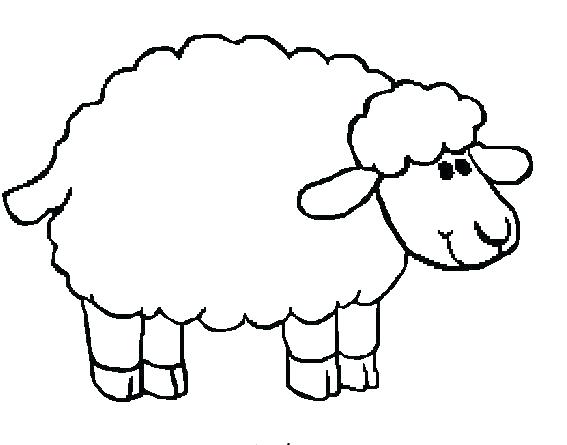 567x445 Coloring Pages Sheep Coloring Pages Sheep Coloring Pages