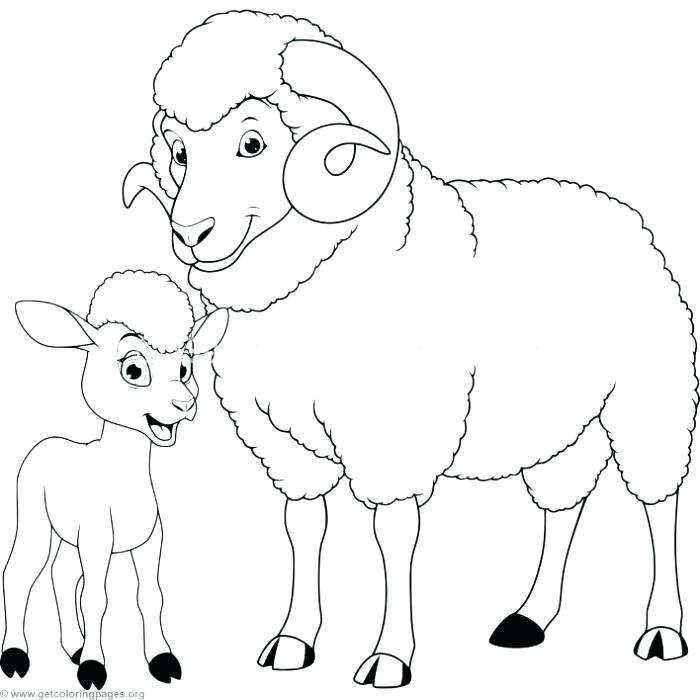700x700 Mother Sheep And Lamb Coloring Pages Mother Sheep And Lamb