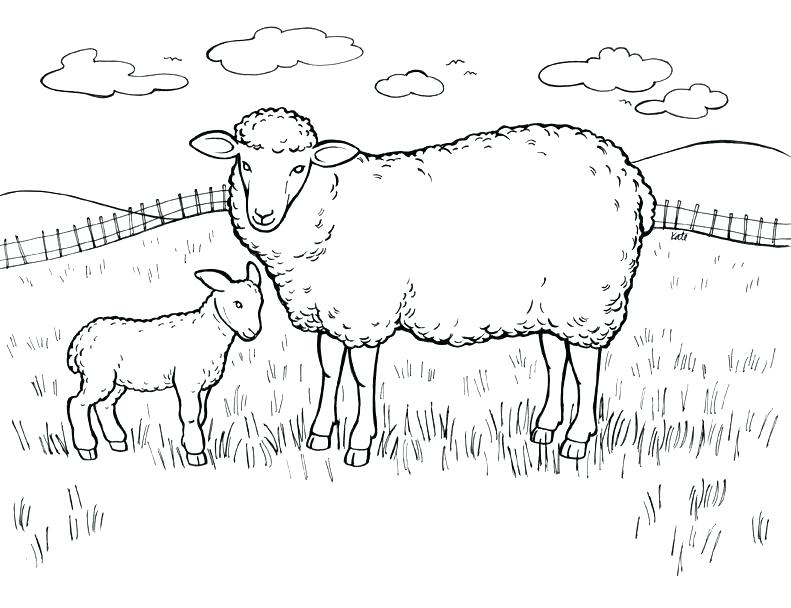 791x608 Shaun The Sheep Coloring Pages Spectacular Inspiration Sheep Color