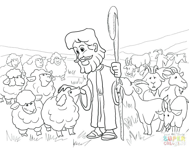 736x577 Sheep Coloring Page Sheep Coloring Pages Preschool Bighorn Sheep