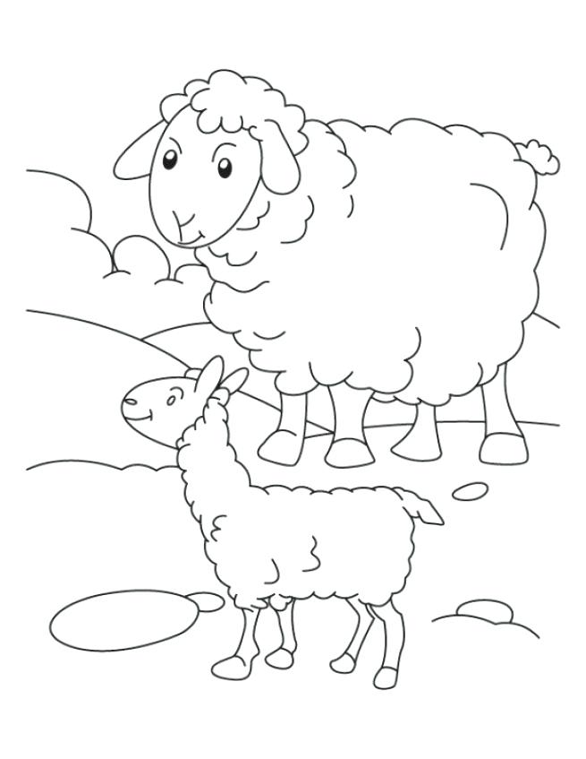 655x847 Coloring Pages For Preschool Sheep Coloring Pages Springtime