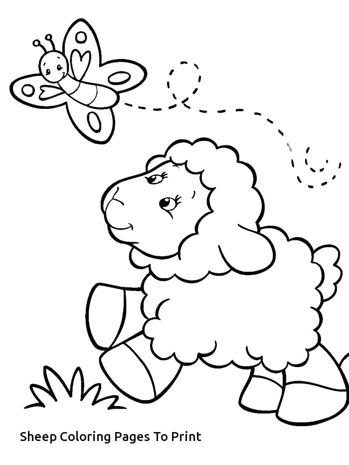 700x931 Sheep Outline Clipart Coloring Picture Of A Sheep Sheep Outline