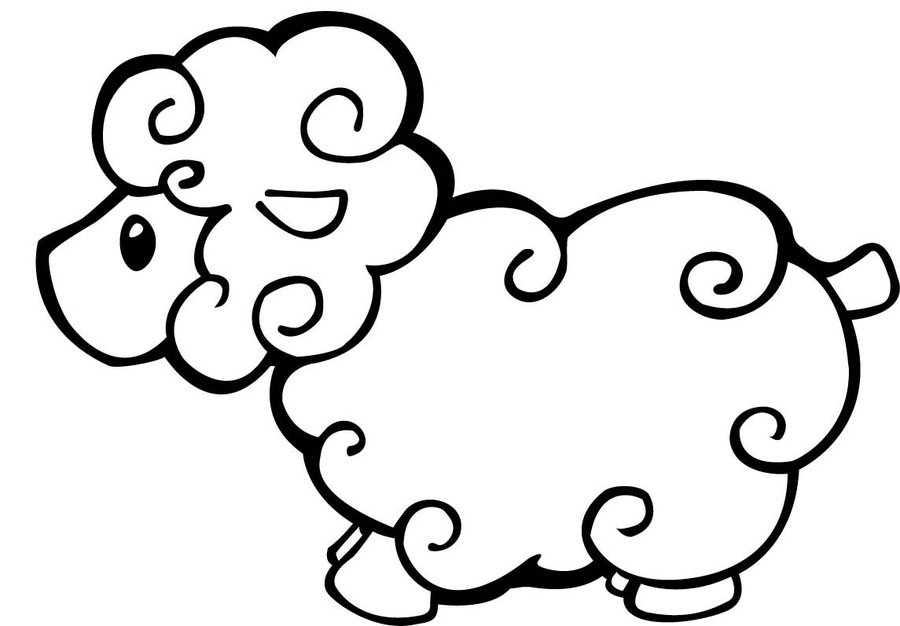 900x626 Sheep Coloring Pages For Kids Printable