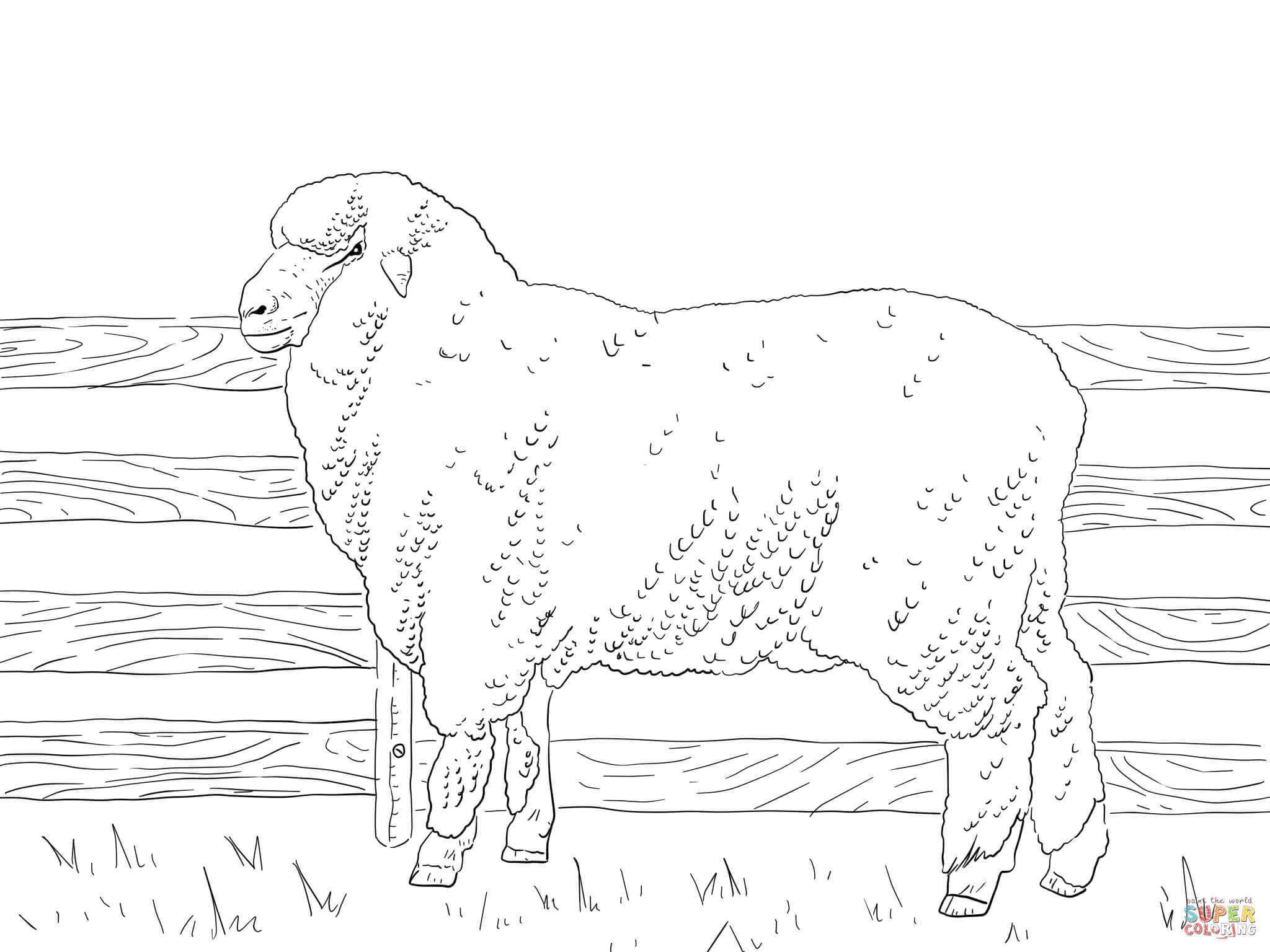 2048x1536 Coloring Page Of A Sheep