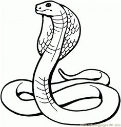 236x248 Striking Cobra Vinyl Wall Decal Products Wall