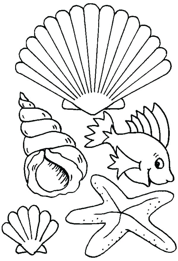 Sea Creatures Coloring Pages Sea Shell Coloring Page Different 600x879 Sea Creatures Coloring Pages Sea Shell Coloring Page Different