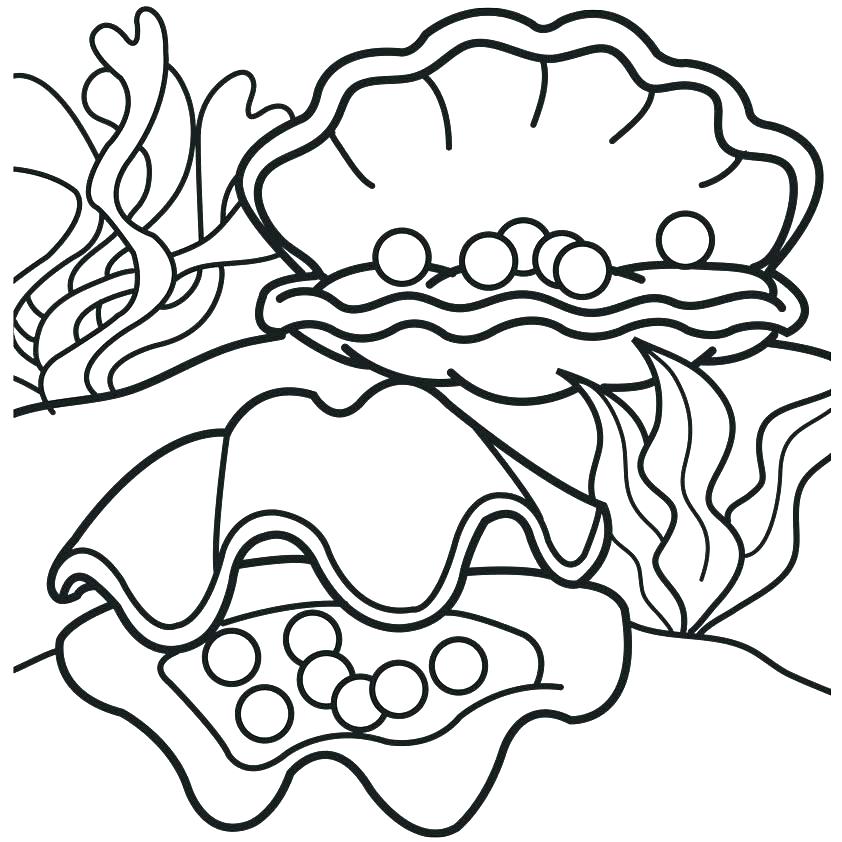Sea Shell Coloring Page Seashell Coloring Page Seashell Coloring 842x842 Sea Shell Coloring Page Seashell Coloring Page Seashell Coloring