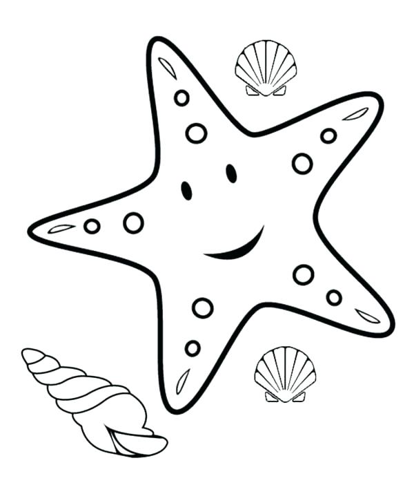 Sea Shell Coloring Pages Sea Shells Coloring Pages Sea Shell 600x699 Sea Shell Coloring Pages Sea Shells Coloring Pages Sea Shell