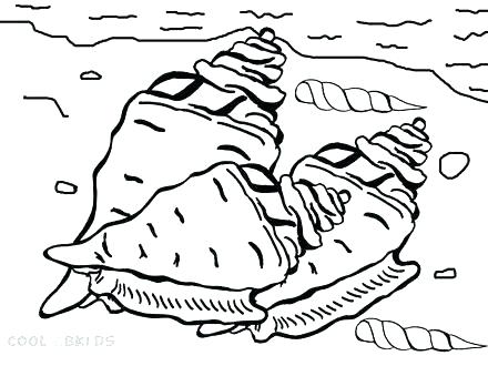 Seashell Coloring Sea Shells Coloring Pages Sea Shell Coloring 440x330 Seashell Coloring Sea Shells Coloring Pages Sea Shell Coloring