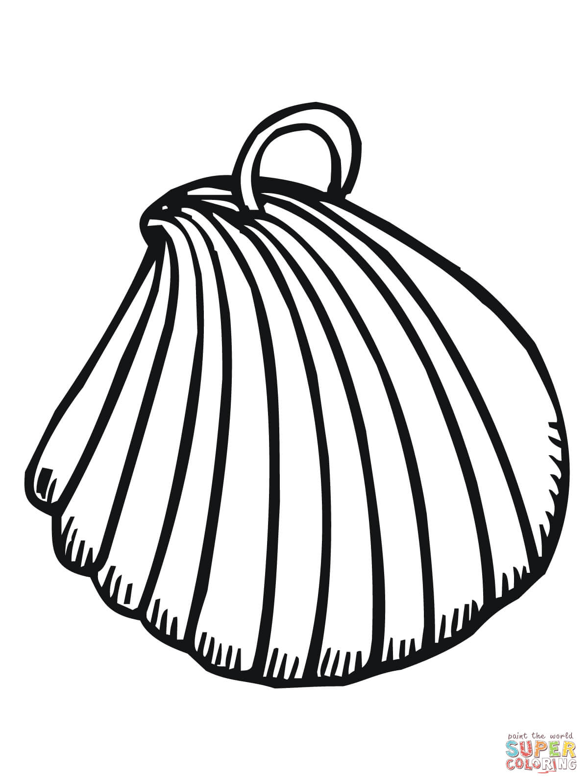 Shell Coloring Pages 1200x1600 Shell Coloring Pages