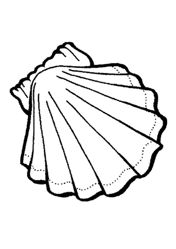 Shell Coloring Pages To Download And Print For Free 600x849 Shell Coloring Pages To Download And Print For Free