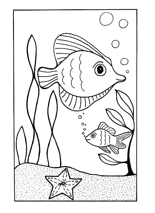 Coloring Pages Sea Shells Impair.co 500x687 Coloring Pages Sea Shells Impair.co