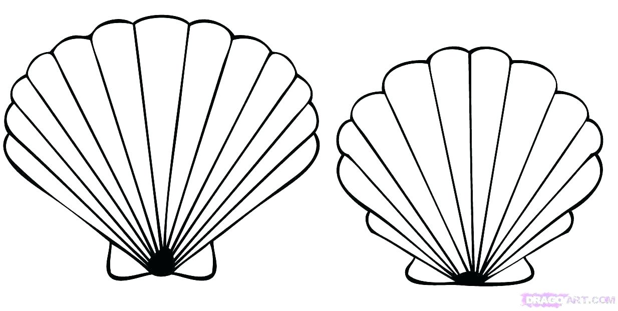 Coloring Pages Sea Shells Coloring Pages Of Seashells Coloring 1234x621 Coloring Pages Sea Shells Coloring Pages Of Seashells Coloring