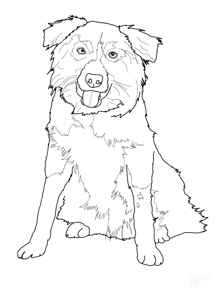 German Shepherd Coloring Pages Coloring Pages Shepherd Coloring 736x981 German Shepherd Coloring Pages Coloring Pages Shepherd Coloring