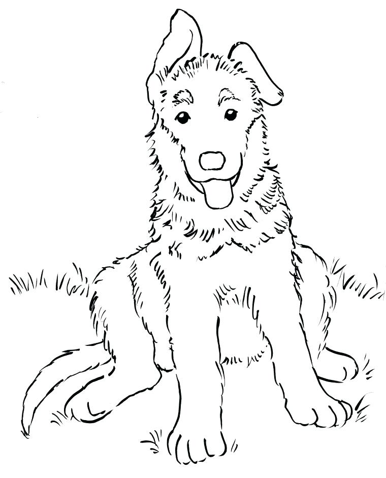 760x941 German Shepherd Coloring Pages Shepherd Puppy Coloring Page German