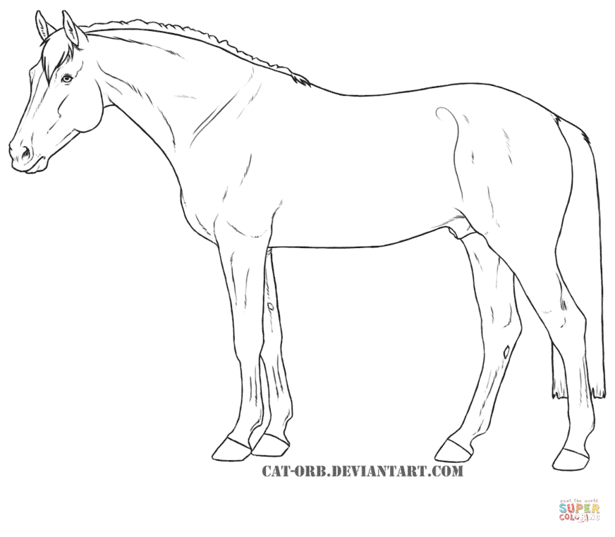 Hanoverian Horse For Coloring Page 872x762 Hanoverian Horse For Coloring Page