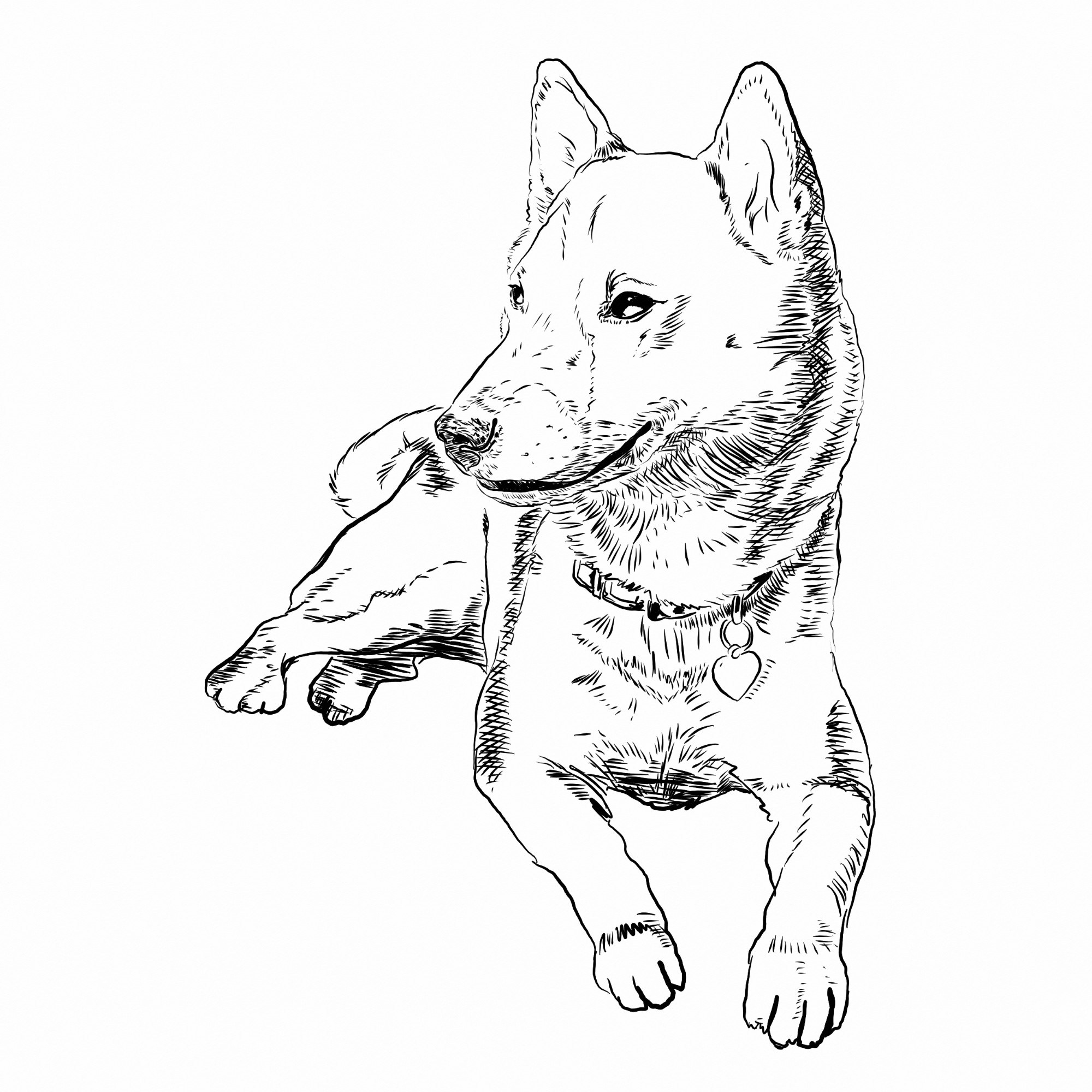 2000x2000 Free Coloring Book Dogs Themed The Space Wanderer