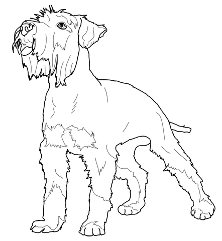 442x480 Running Pet With Tongue Sticking Out Coloring Page