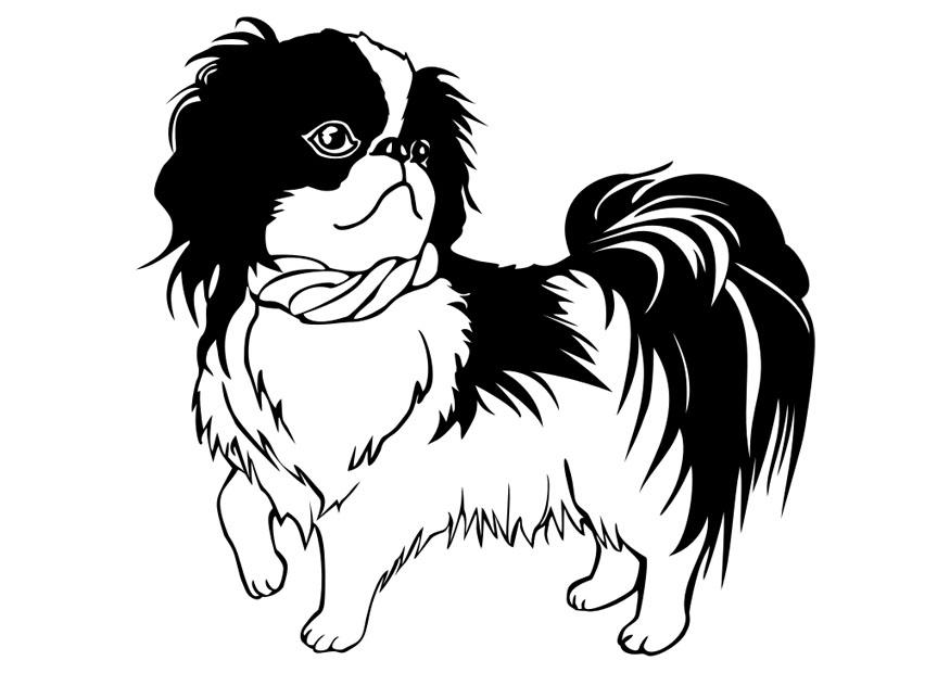 Coloring Page Dog 875x620 Coloring Page Dog