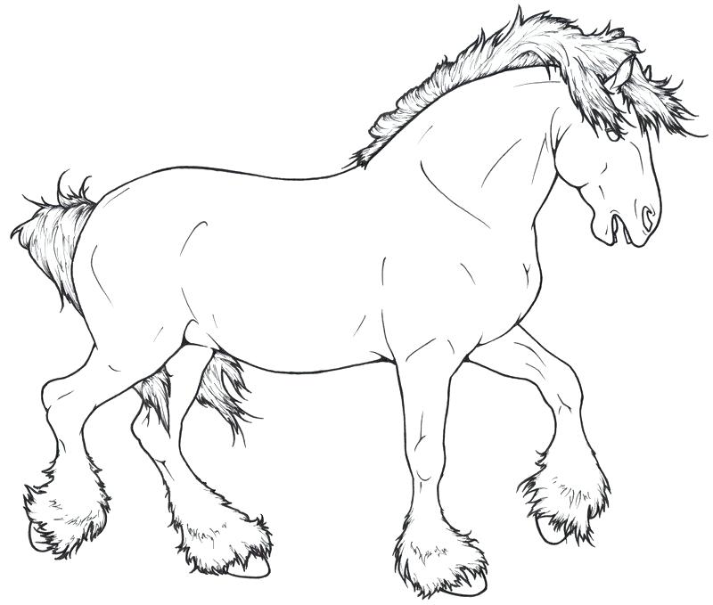 800x679 Draft Horse Coloring Pages Shire Horse Coloring Pages Free Draft