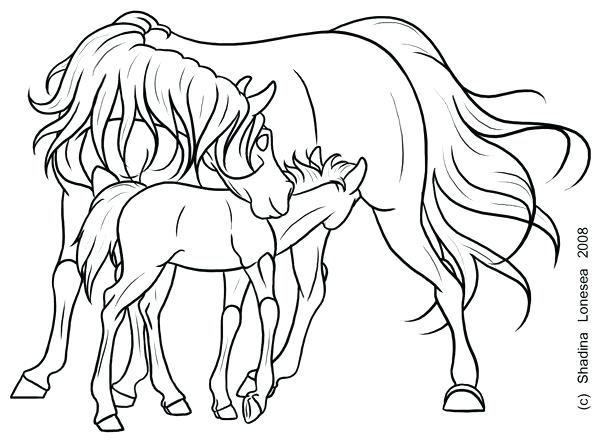 Shire Horse Coloring Pages at GetColorings.com | Free printable ...