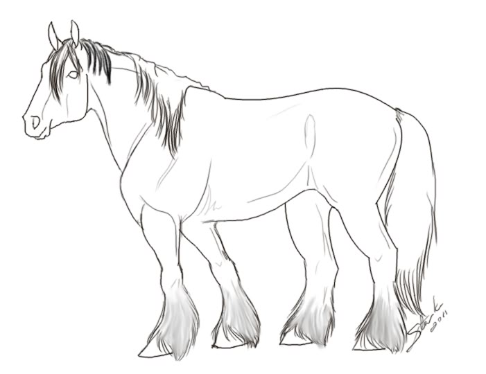 701x540 Shire Horse Coloring Pages Coloring Pages Shire